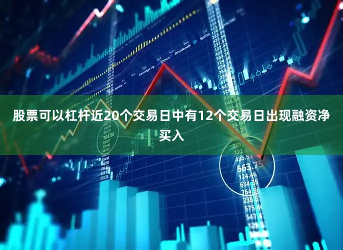 股票可以杠杆近20个交易日中有12个交易日出现融资净买入