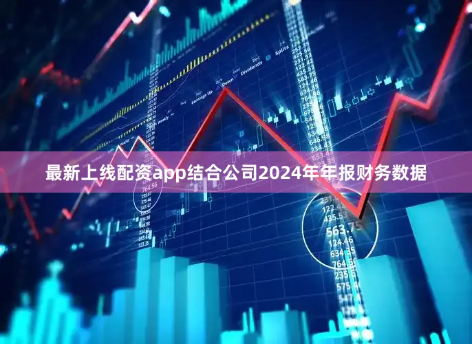 最新上线配资app结合公司2024年年报财务数据