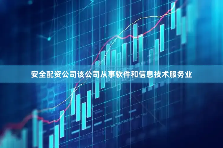 安全配资公司该公司从事软件和信息技术服务业