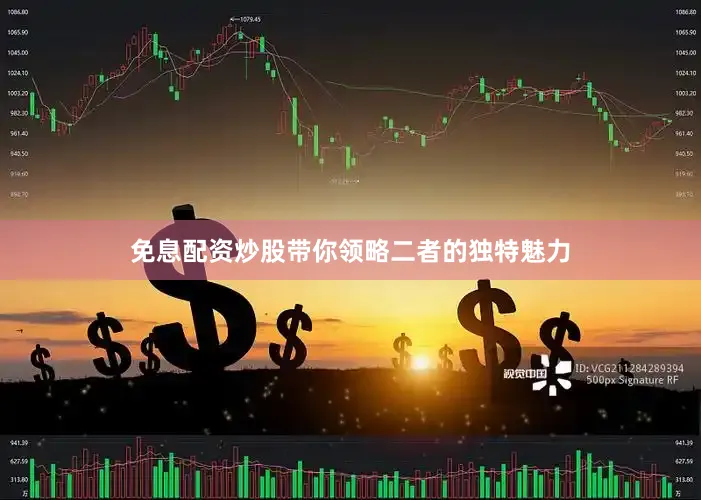 免息配资炒股带你领略二者的独特魅力