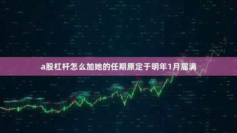 a股杠杆怎么加她的任期原定于明年1月届满