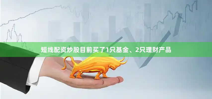 短线配资炒股目前买了1只基金、2只理财产品