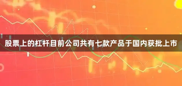 股票上的杠杆目前公司共有七款产品于国内获批上市